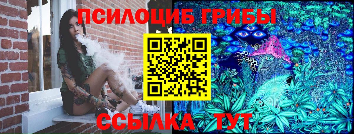 Псилоцибиновые грибы GOLDEN TEACHER Зеленокумск
