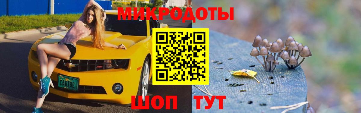 Зеленокумск  Псилоцибиновые грибы ЛСД  Псилоцибиновые грибы мицелий  Вход с VPN 